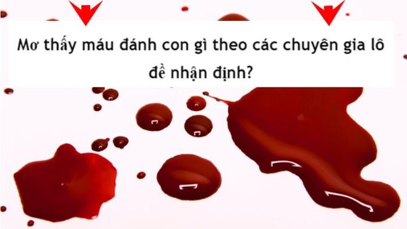 Con số lô đề dễ trúng nhất