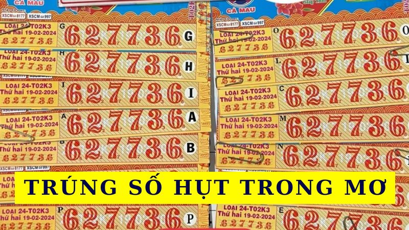 Nằm mơ thấy trúng số đánh con gì - Trúng số hụt